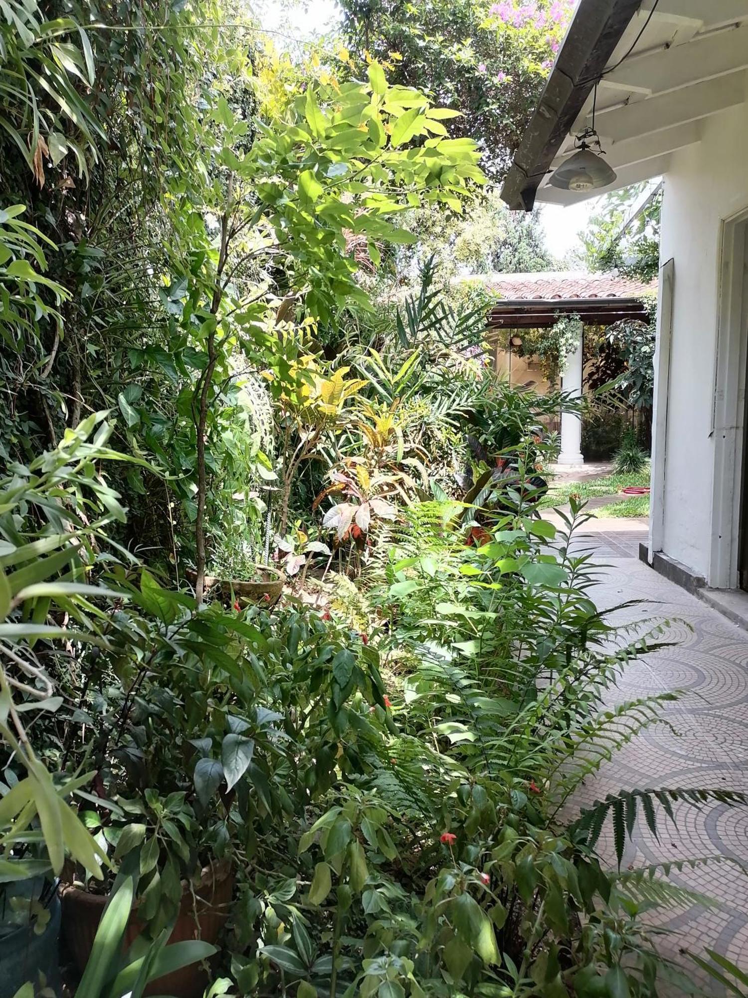 Granados Bed & Breakfast Asuncion Exterior photo
