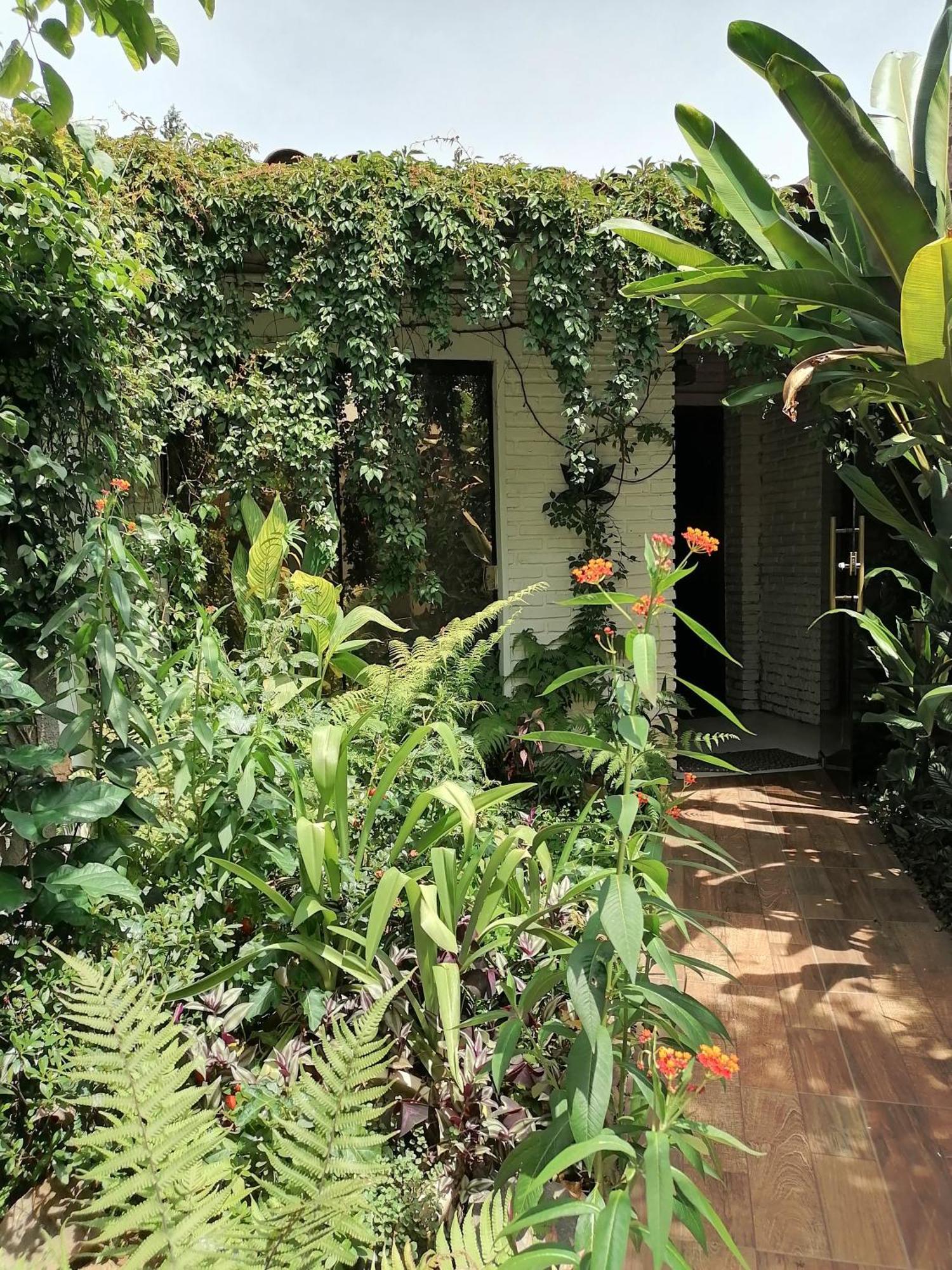 Granados Bed & Breakfast Asuncion Exterior photo